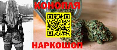 стаф Малоярославец