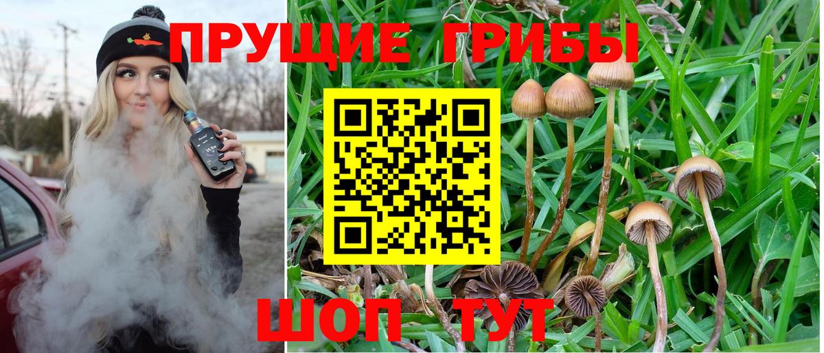 Златоуст  Галлюциногенные грибы мухоморы  Вход с VPN 