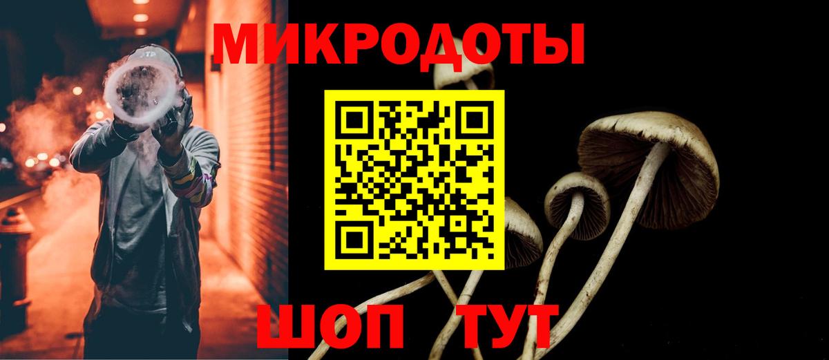 Галлюциногенные грибы Cubensis Златоуст